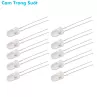 LED 5mm Trong Suốt Màu Cam Chân Ngắn